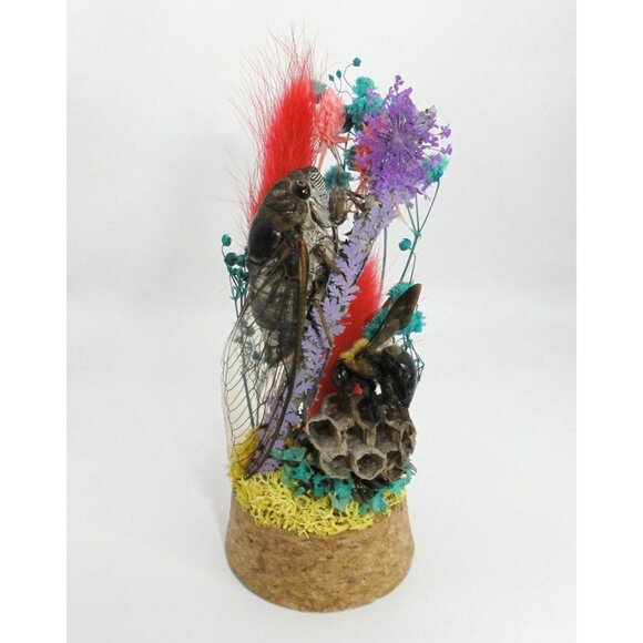 Cicada Wasp Nest & Carpenter Bee Oddity Jar curiosity dome insect taxidermy goth - Picture 4 of 15